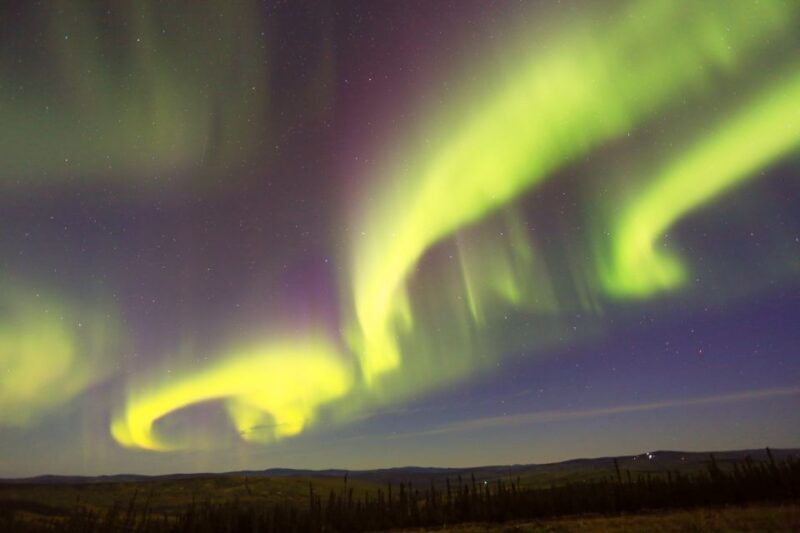 From Fairbanks: Chena Hot Springs Northern Lights Tour - The Experience: What You Will Love