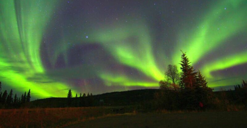 From Fairbanks: Northern Lights & Murphy Dome Tour - Key Points