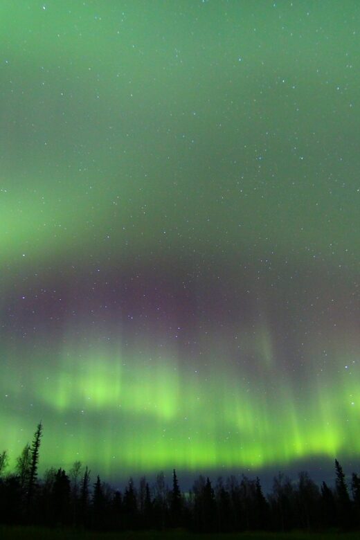 From Fairbanks: Northern Lights & Murphy Dome Tour - What Makes This Tour Stand Out?