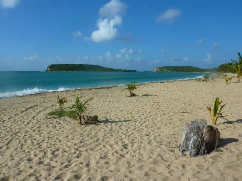 From Fajardo: All-Inclusive Boat & Snorkeling in Culebra Island - Final Words