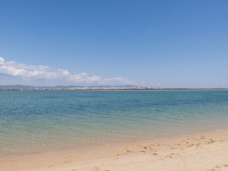 From Faro: 2-Hour Guided Bird Watching Boat Trip - From Faro: 2-Hour Guided Bird Watching Boat Trip — A Deep Dive into Algarve’s Natural Wonder