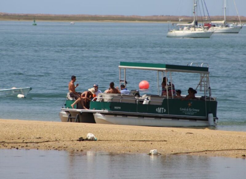 From Faro: 2-Island, 2-Stop Ria Formosa Catamaran Tour - A Deep Dive into the Experience