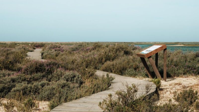 From Faro: Catamaran Boat Trip to Deserta Island with Stop - FAQs