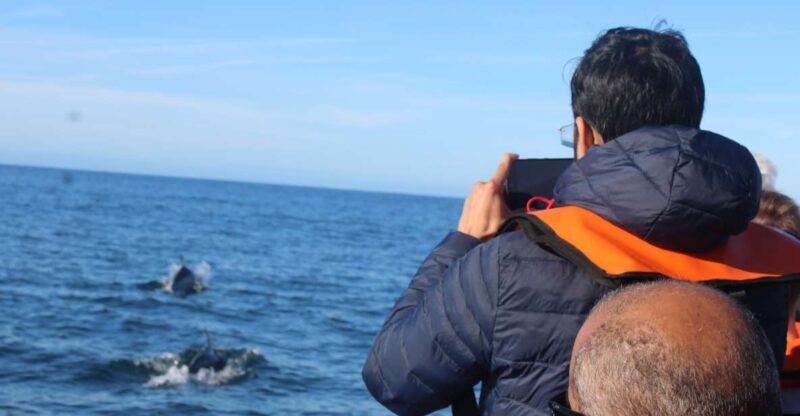 From Faro: Dolphin Watching & 2 Islands Tour - An Overview of the Faro Dolphin & Island Experience