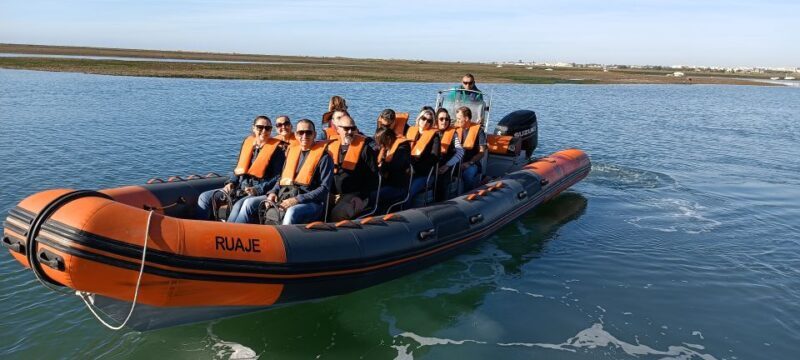 From Faro: Dolphin Watching & 2 Islands Tour - Relaxing at Deserta Island