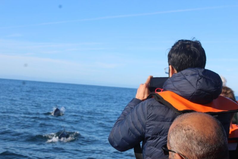 From Faro: Dolphin Watching & 2 Islands Tour - Price & Value Breakdown