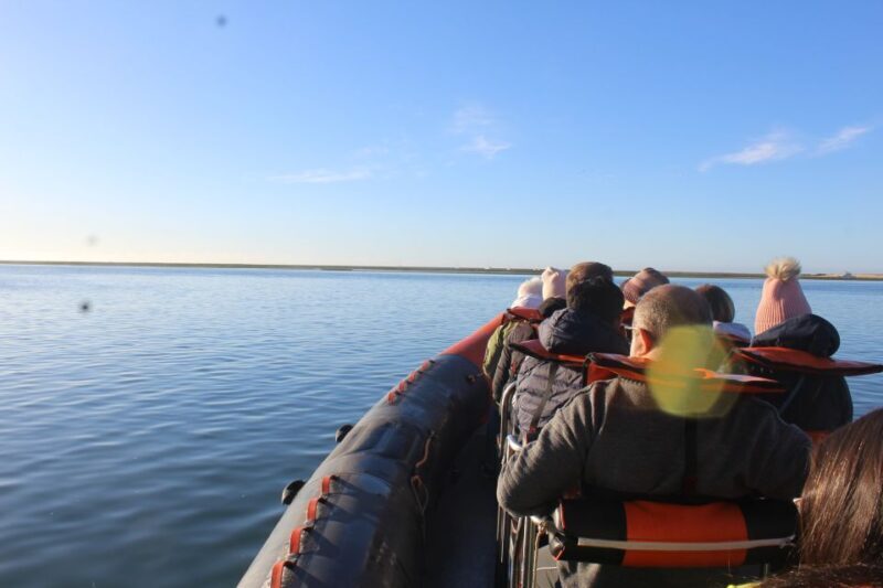 From Faro: Dolphin Watching & 2 Islands Tour - Why This Tour Might Be Perfect for You