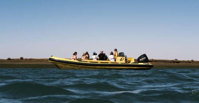 From Faro: Ria Formosa Eco Tour guided by Marine Biologist - Exploring the Ria Formosa Eco Tour in Depth