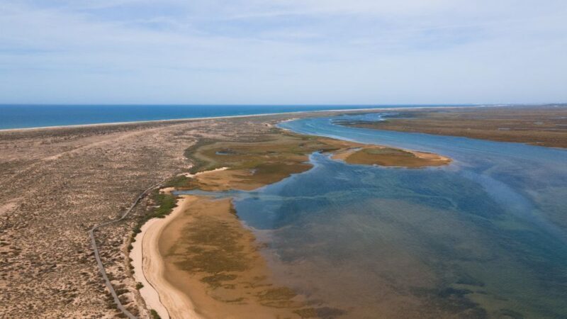 From Faro: Ria Formosa Eco Tour guided by Marine Biologist - Final Summary
