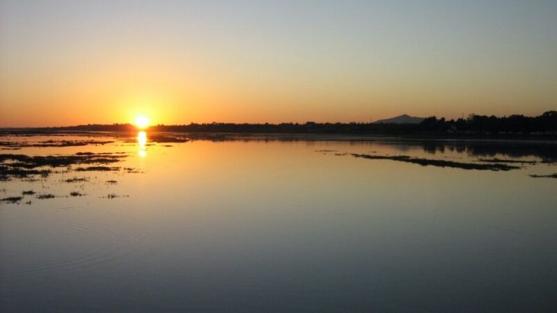 From Faro: Ria Formosa Sunset Boat Trip - Key Points