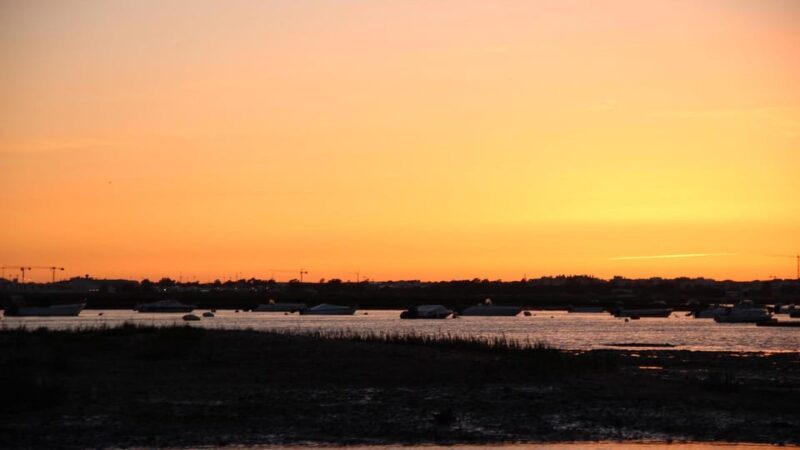 From Faro: Ria Formosa Sunset Boat Trip - What’s Included and What’s Not