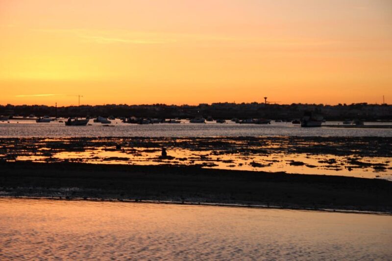 From Faro: Ria Formosa Sunset Boat Trip - Final Thoughts: Who Is This Tour Best For?