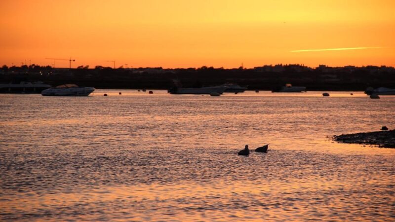 From Faro: Ria Formosa Sunset Boat Trip - Frequently Asked Questions
