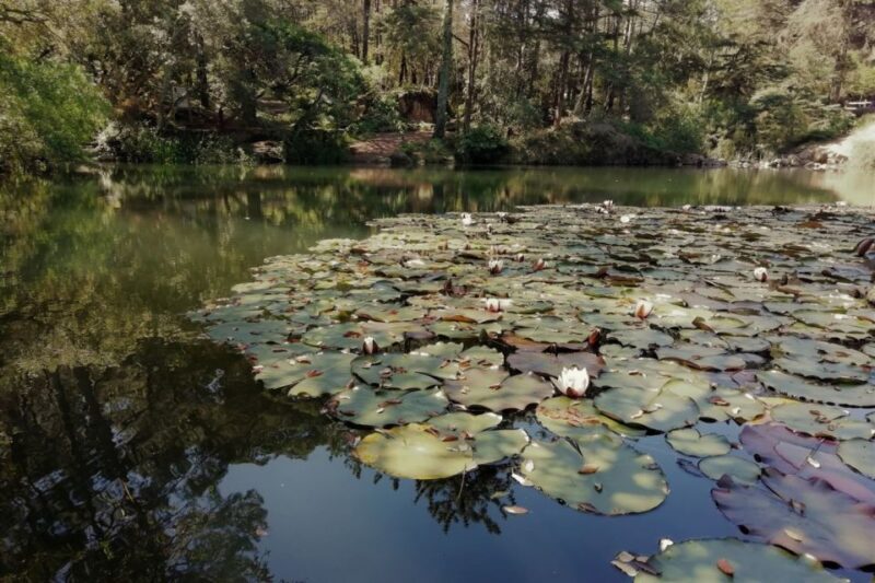 From Fátima: Sintra, Lisbon, and Cascais Private Tour - Who This Tour Is Best For