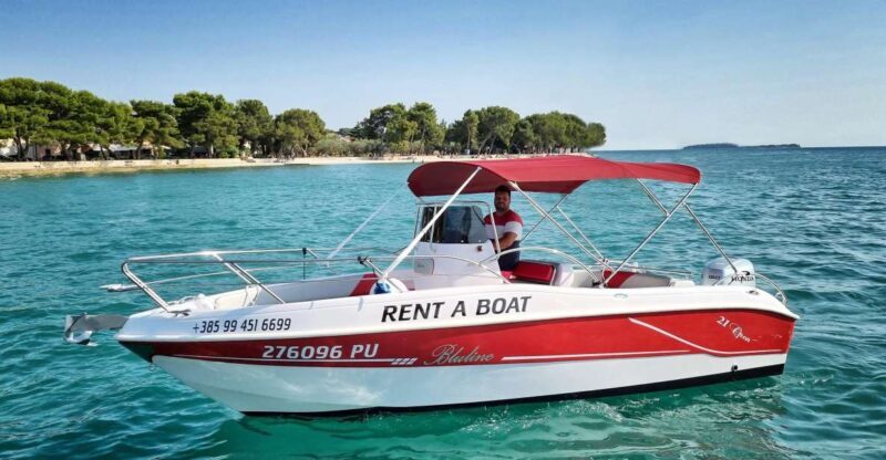 From Fazana: Private sunset dolphin tour - An In-Depth Look at the Private Sunset Dolphin Tour