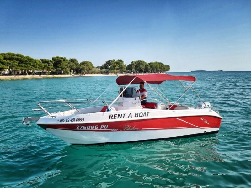 From Fazana: Private sunset dolphin tour - The Sum Up