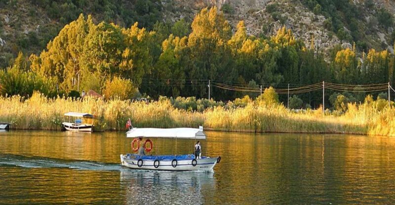 From Fethiye: Dalyan Day Trip with Mud Bath and Turtle Beach - The Scenic River Cruise: Relax and Take Photos