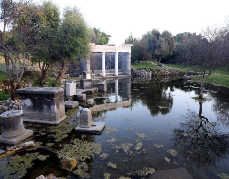 From Fethiye: Dalyan Day Trip with Mud Bath and Turtle Beach - Lunch and End of the Day