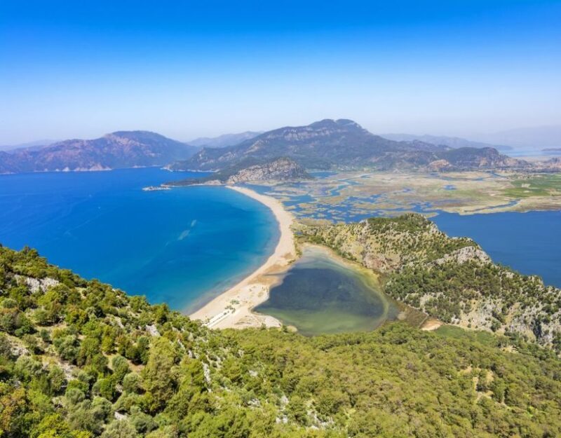 From Fethiye: Dalyan Day Trip with Mud Bath and Turtle Beach - Who Will Love This Tour?
