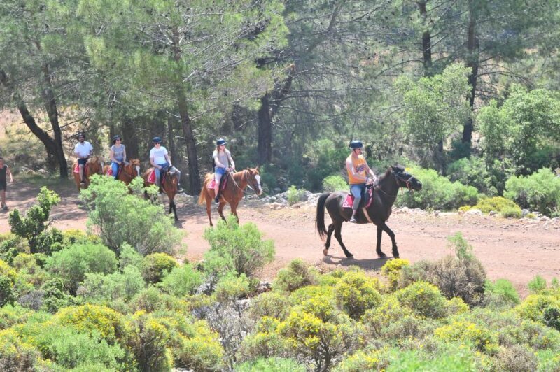 From Fethiye: Horse Riding Adventure - A Closer Look at the Horse Riding Experience