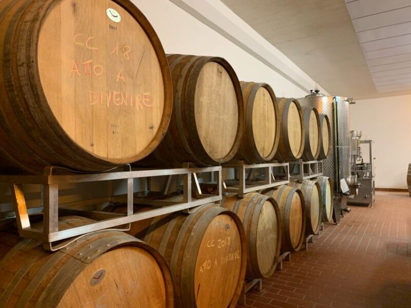 From Florence: Chianti Hills Half-Day Tour with Wine Tasting - Final Words