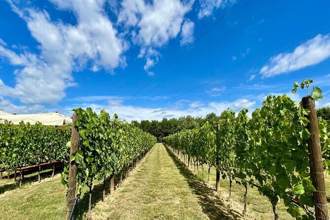 From Florence: Classic Chianti Villages and Wine Roads by Minivan - Key Points