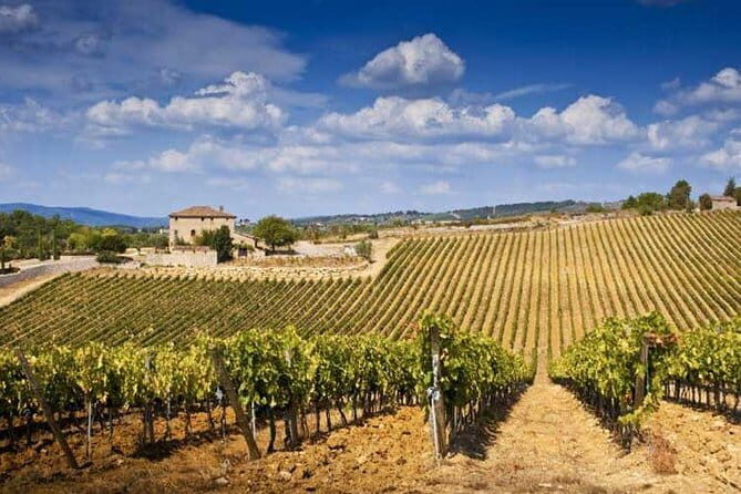 From Florence: Classic Chianti Villages and Wine Roads by Minivan - Who Should Consider This Tour?