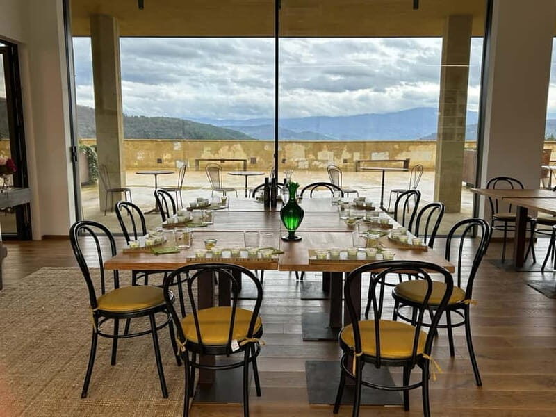 From Florence: Olive Oil Mill Tour and Tasting in Fiesole - Who Should Consider This Tour?