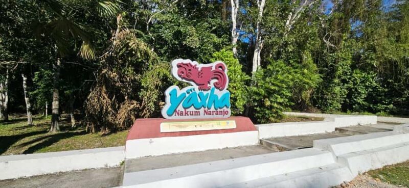 From Flores: Yaxha + Topoxte All-Inclusive Private - Why Choose This Tour? An Honest Look at the Experience