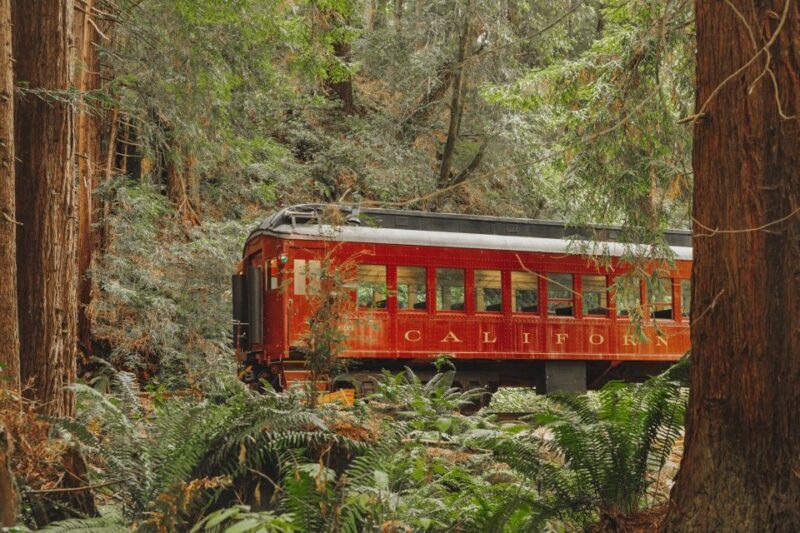 From Fort Bragg: Redwoods Train Ride and Nightclub Ticket - From Fort Bragg: Redwoods Train Ride and Nightclub Ticket - A Unique Night Out in the Forest
