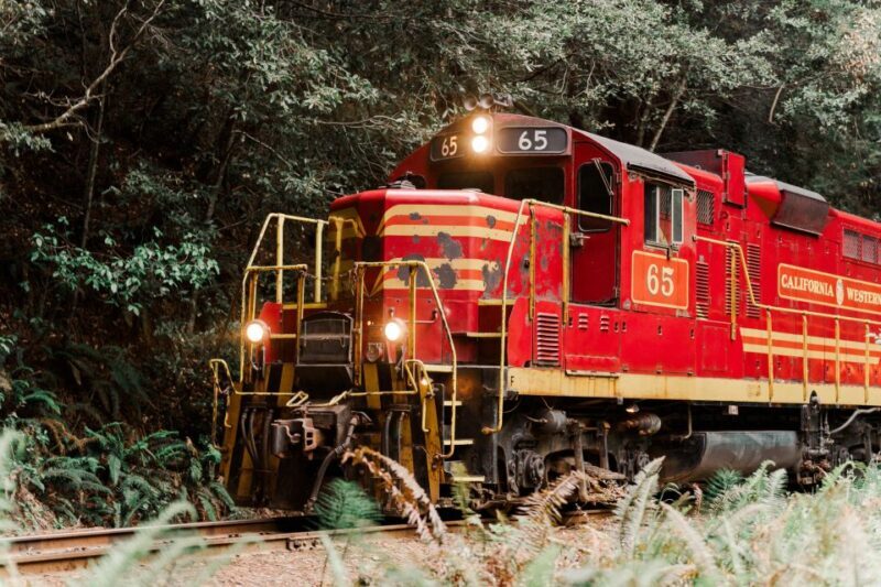 From Fort Bragg: Redwoods Train Ride and Nightclub Ticket - Who Would Love This Experience?