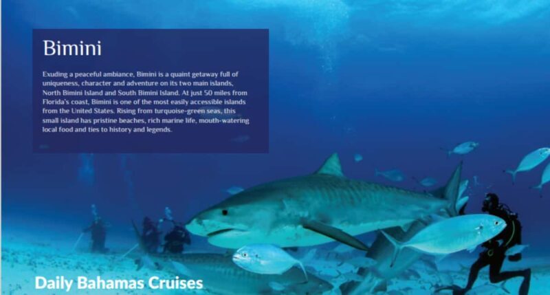 From Fort Lauderdale: Bimini Island Day Trip by Ferry - The Sum Up