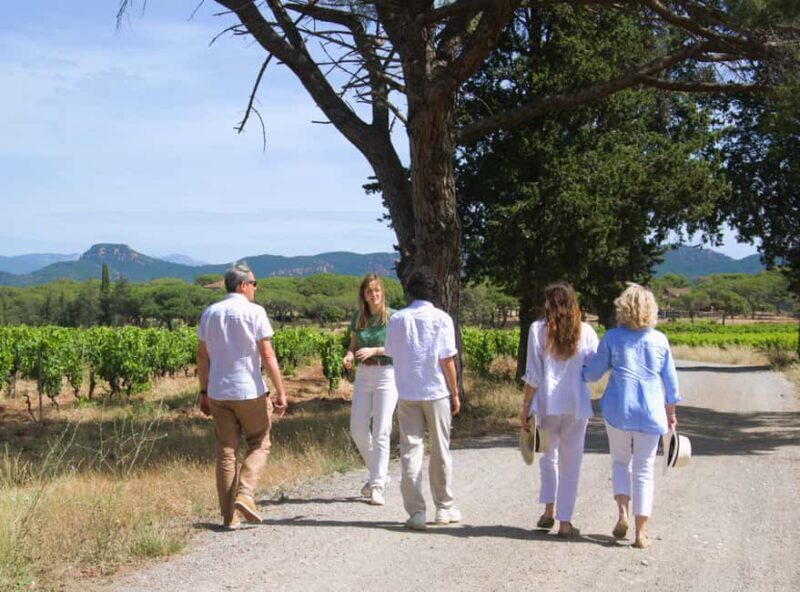 From Fréjus: Van tour to the heart of the Provençal vineyards - Final Thoughts: Is This Tour Worth It?