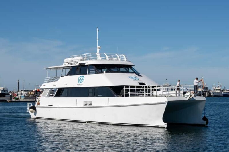 From Fremantle: 2-Hour Luxury Whale-Watching Cruise - Practical Tips for Your Trip