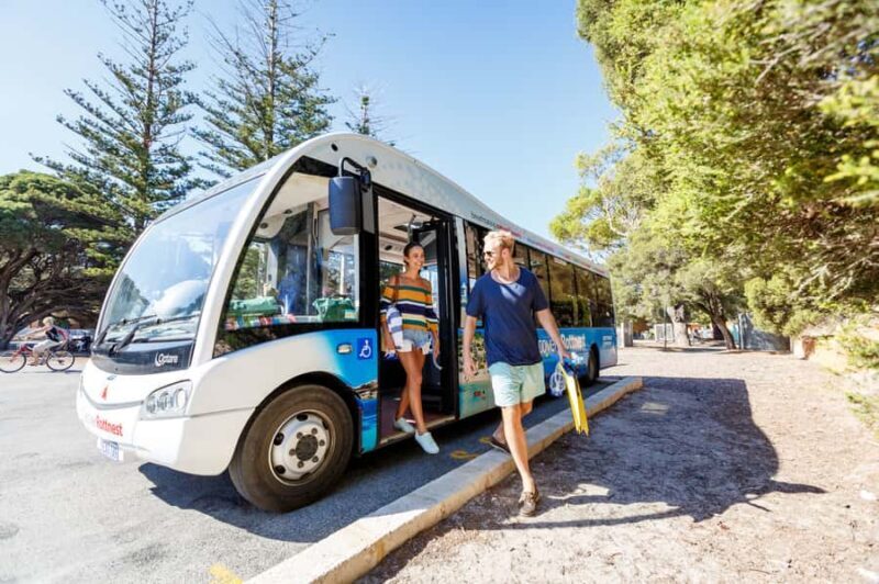 From Fremantle: Rottnest Island Ferry & Bus Day Tour - Key Points