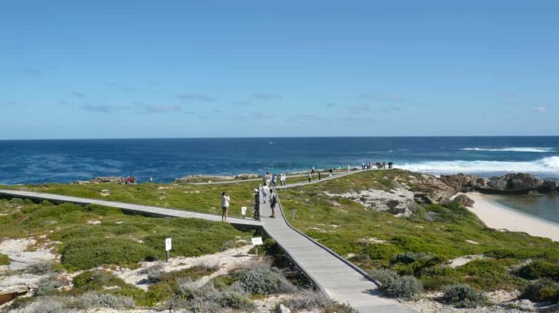 From Fremantle: Rottnest Island Ferry & Bus Day Tour - Practical Details and Value