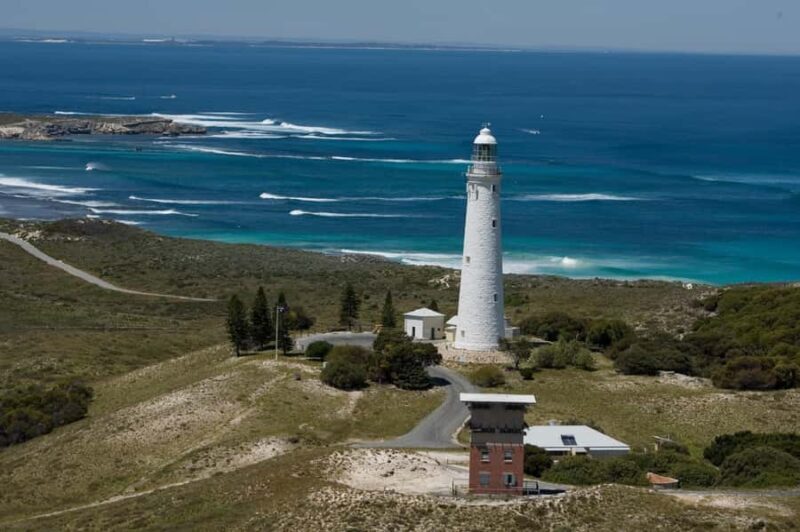 From Fremantle: Rottnest Island Ferry & Bus Day Tour - What We Love (And What to Consider)