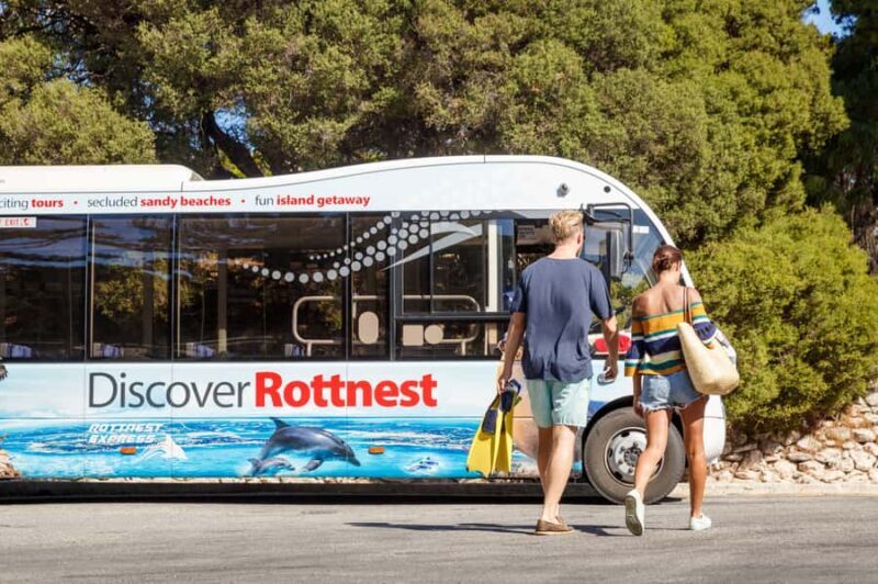 From Fremantle: Rottnest Island Ferry & Bus Day Tour - Who Would Enjoy This Tour?