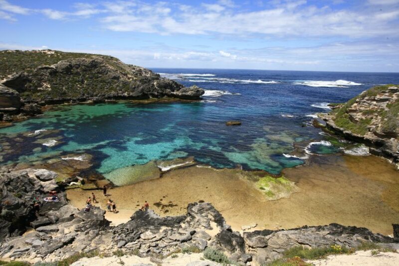 From Fremantle: Rottnest Island Ferry & Bus Day Tour - FAQ