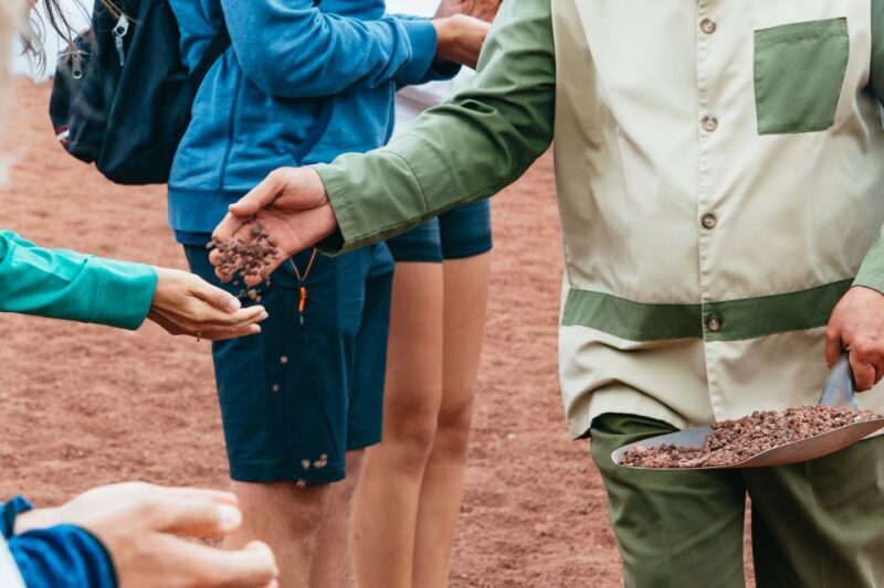 From Fuerteventura: Lanzarote Tour (lunch, winery and more) - Summary: Who Will Love This Tour?