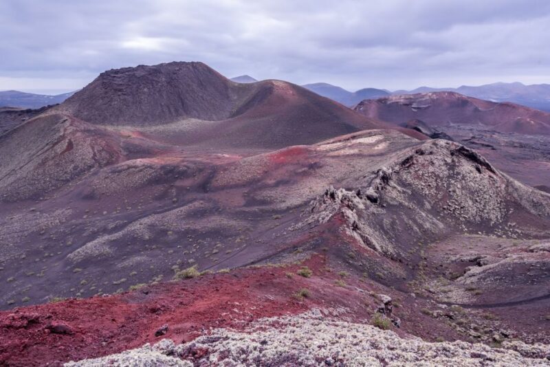 From Fuerteventura: Lanzarote Volcano and Wine Region Tour - The Sum Up