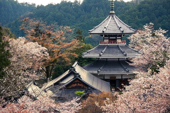 From Fukuoka: Hells of Beppu Hot Spring and Yufuin Day Trip - FAQ