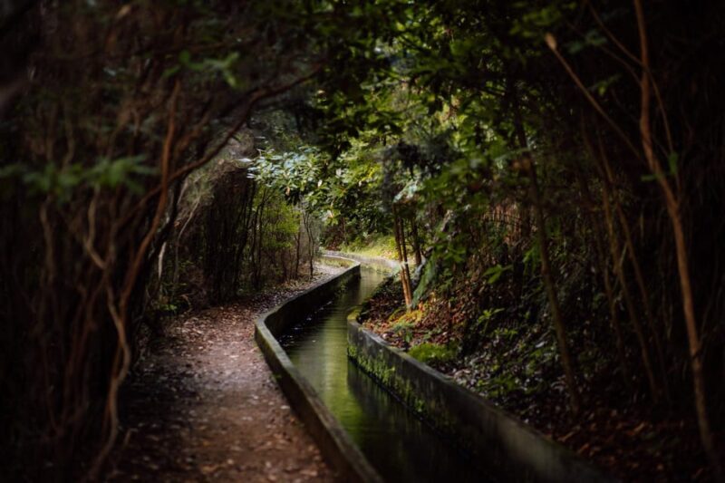 From Funchal/Caniço: Rabaçal Hike (25 Fontes) Bus Transfer - The Sum Up