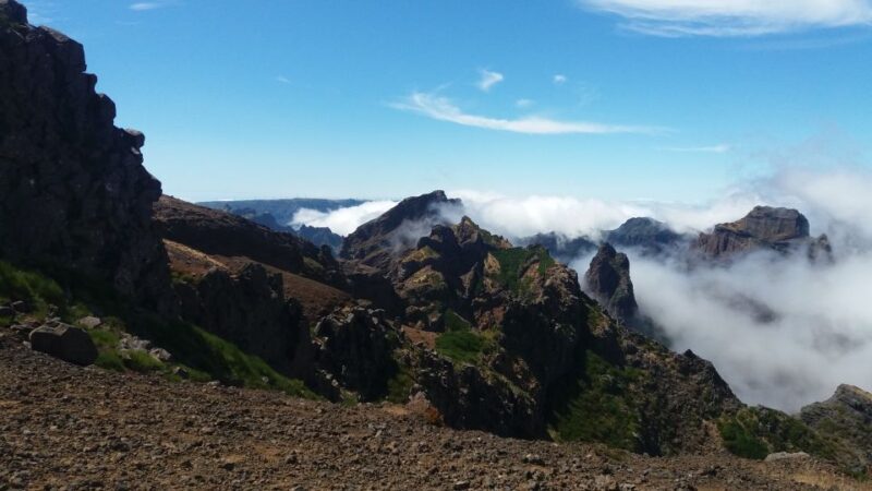 From Funchal: East Tour Madeira 4x4 Jipe Tour Santana Houses - Practicalities and Value