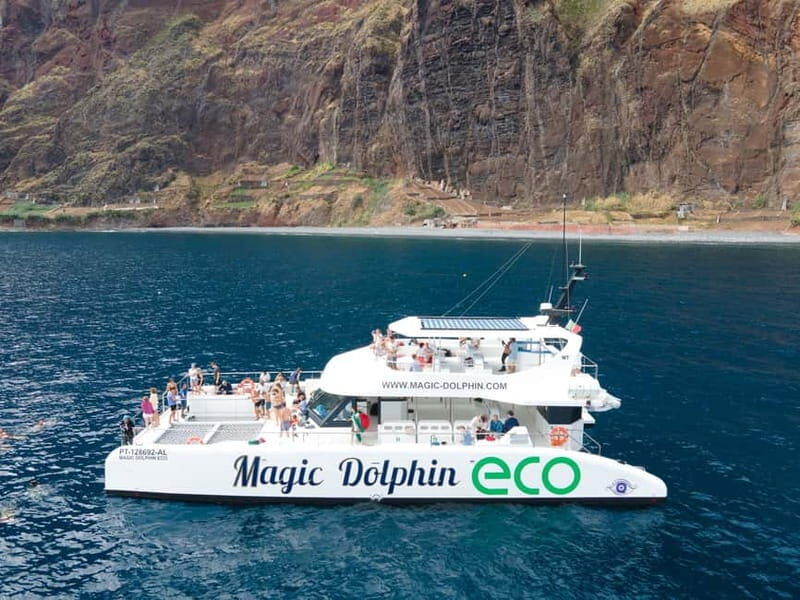 From Funchal: Ecological Catamaran Dolphin Whale Watching - Key Points
