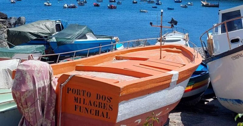 From Funchal: Eucalyptus Forest Guided 4x4 Tour - Key Points