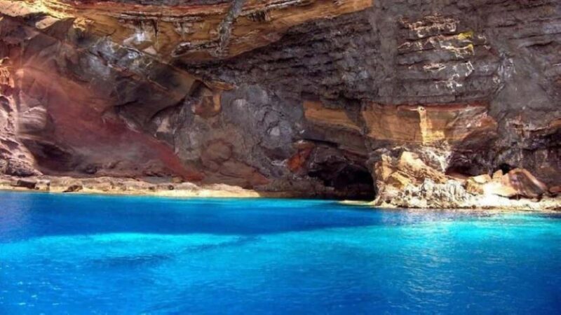 From Funchal: Guided Tour to Desertas Islands - Who Is This Tour Best Suited For?