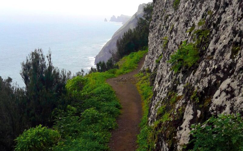 From Funchal: Machico to Porto da Cruz Larano Cliff Hike - An In-Depth Look at the Larano Cliff Hike