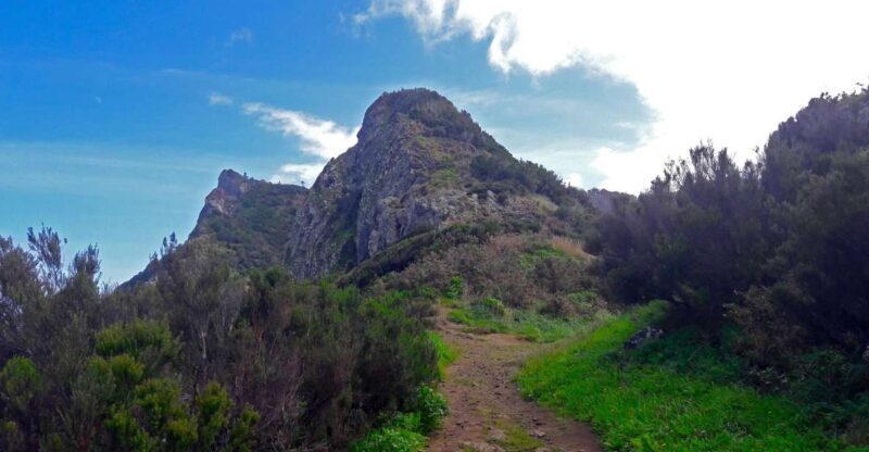 From Funchal: Machico to Porto da Cruz Larano Cliff Hike - The Sum Up