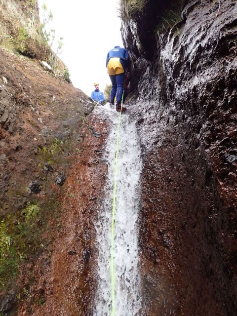 From Funchal: Madeira Island Canyoning for Beginners - Authentic Experiences and What Travelers Say